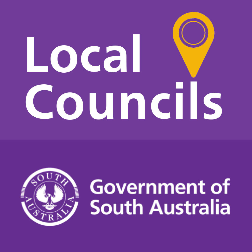 Councils Government